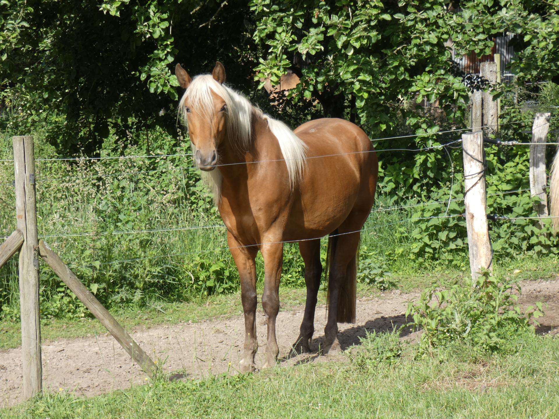 P1070023