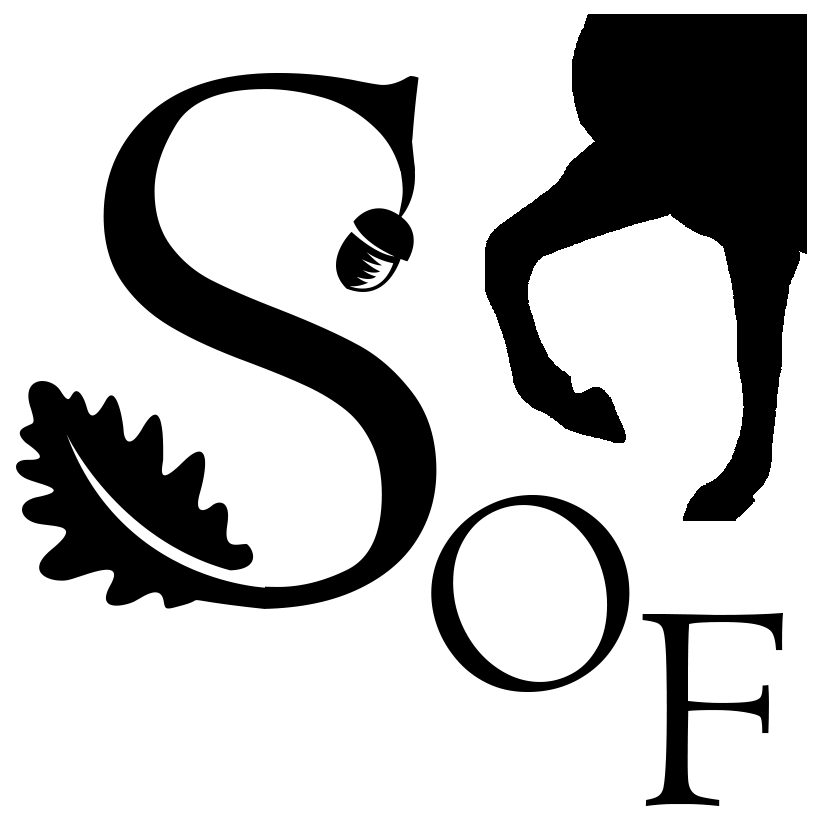 Élevage de Rocky Mountain Horse